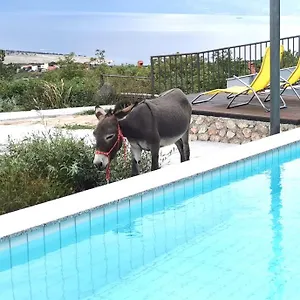 Suzi Donkey Farm With Seaview Šmrika